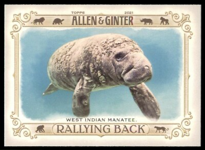 #ad #ad 2021 Topps Allen amp; Ginter Rallying Back #RB 10 West Indian Manatee $0.99