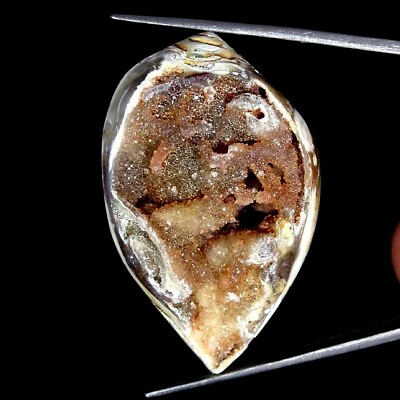 #ad 135.90Cts Fossil Snail Druzy Agate Natural Loose Gemstone 29x48x20mm $16.99