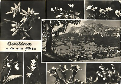 #ad Picturesque View of Cortina And Its Flora Cortina d#x27;Ampezzo Italy Postcard $29.99