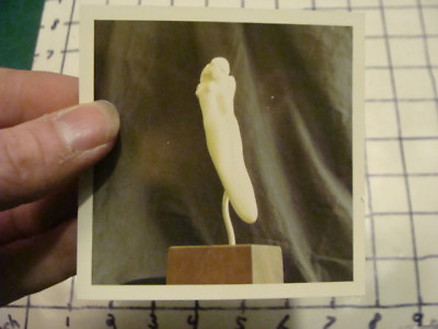 #ad LOUIS FERON sculptor chaser gold amp; silversmith: Photo ivory ladies piece sculp $29.16
