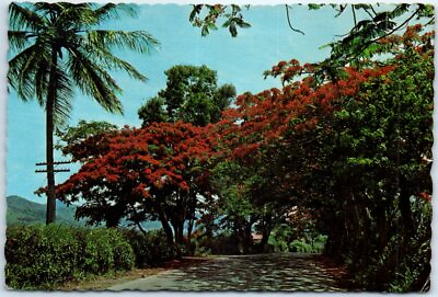 #ad The Flamboyant Trees of Puerto Rico Lend Charm to the Countryside Puerto Rico $3.46