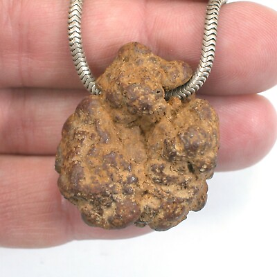 #ad DVH Coprolite Pseudo Fossil Bead Petrified Poop 34x29x14 5266 $19.99