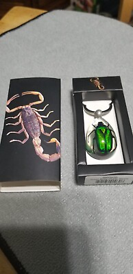 #ad Green Rose Chafer Beatle Necklace with Pendant $20.00