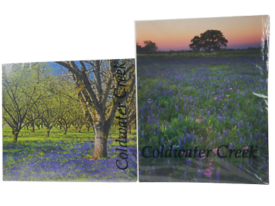 #ad Lot of 2 Coldwater Creek 11x14 Art Prints Summer Purple Flowers Trees Color $16.99